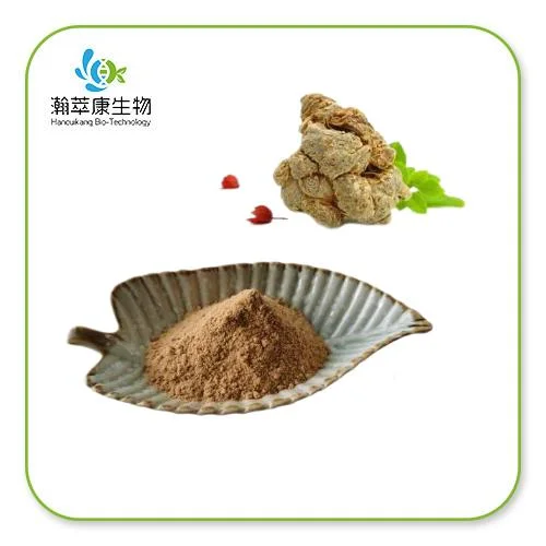 Notoginseng Extract Powder